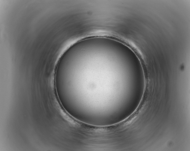 X0000091071421200708131143