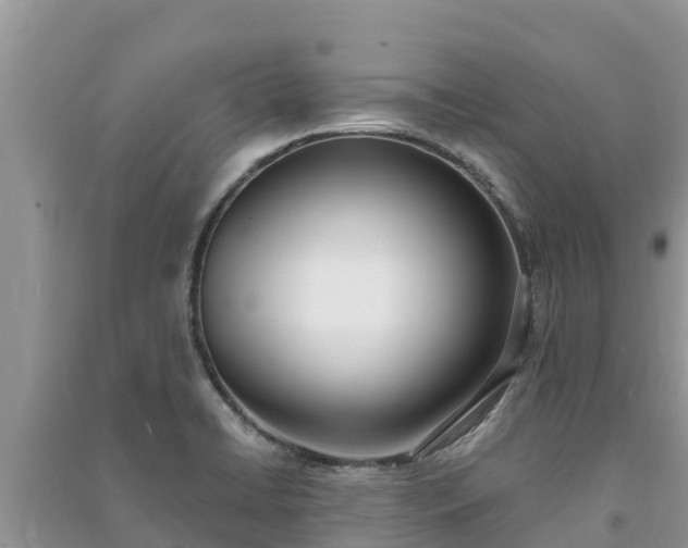 X0000091071422200708131143