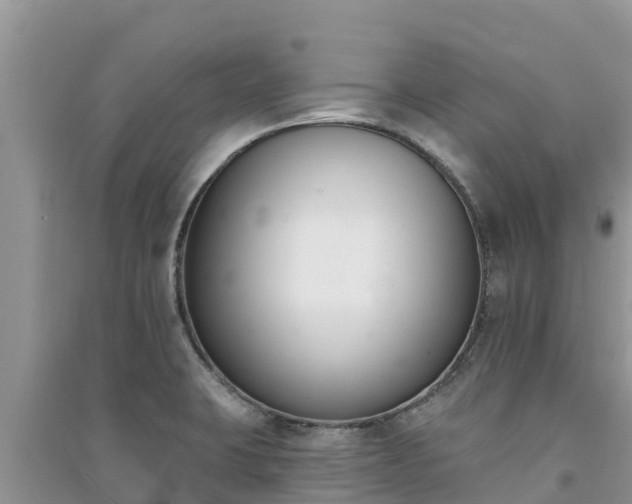 X0000091071423200708131143