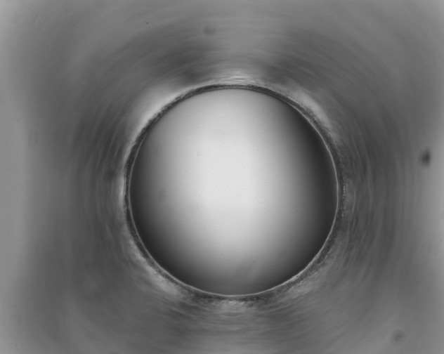 X0000091071424200708131143