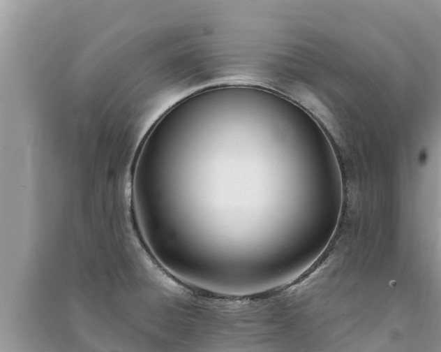 X0000091071428200708131143
