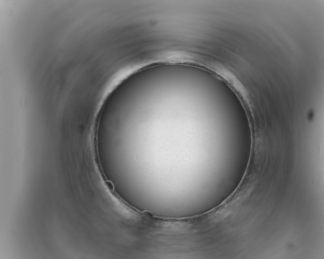 X0000091071429200708131143