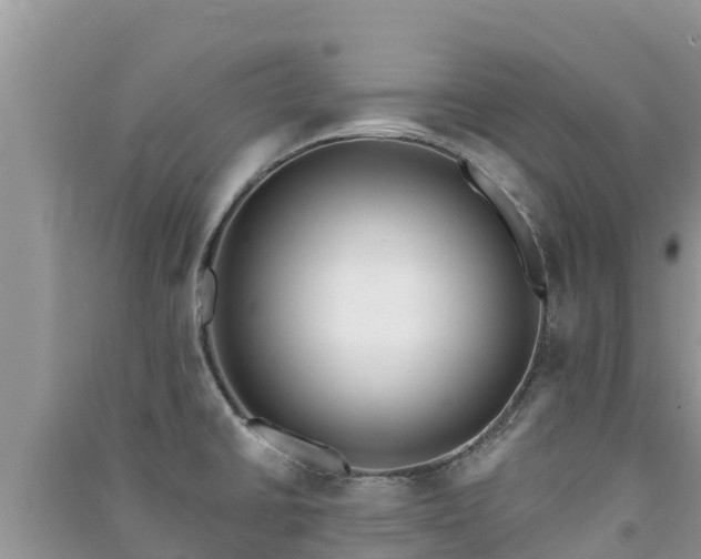 X0000091071430200708131143