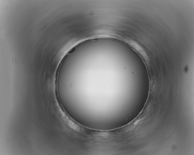 X0000091071431200708131143