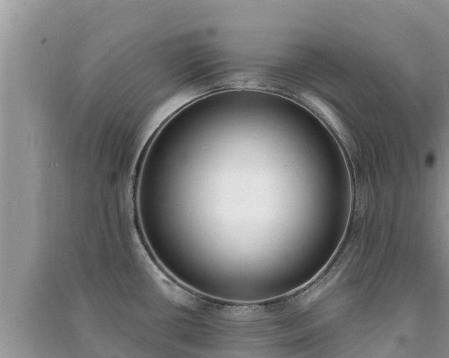X0000091071434200708131143