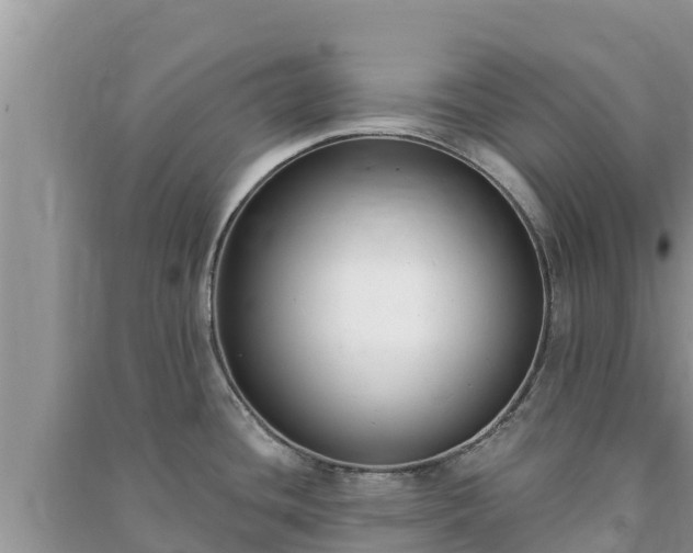 X0000091071436200708131143