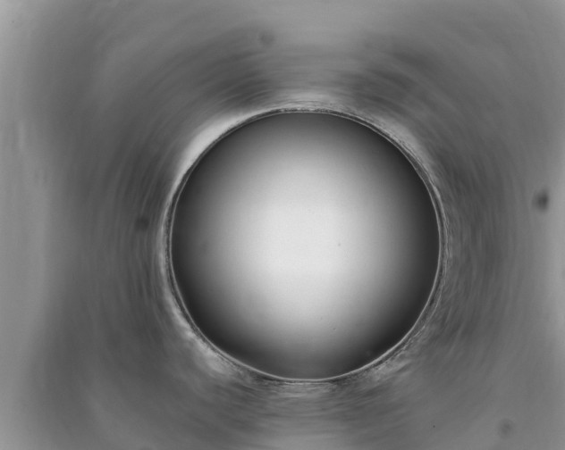 X0000091071440200708131143