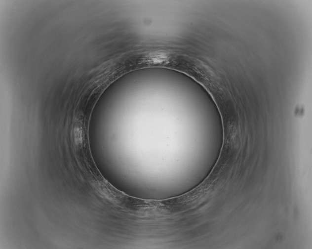 X0000091071442200708131142