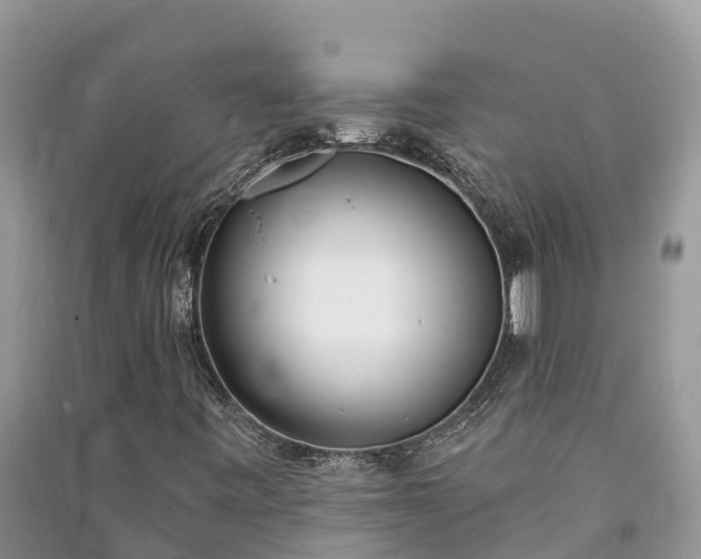X0000091071443200708131142