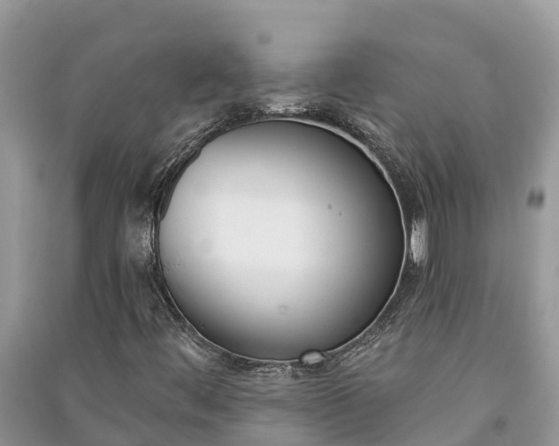 X0000091071444200708131142