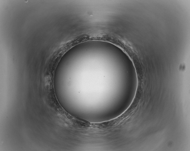 X0000091071445200708131142