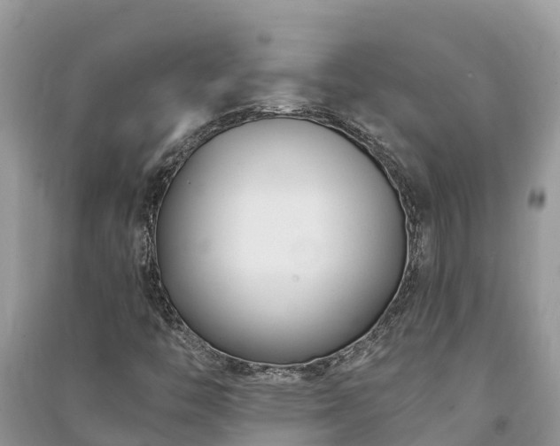 X0000091071446200708131142
