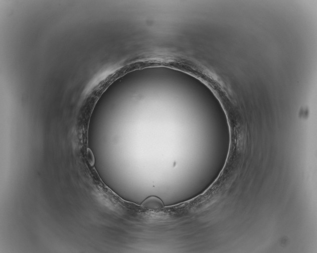 X0000091071448200708131142