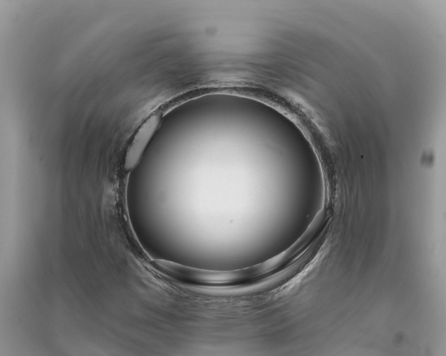 X0000091071449200708131142
