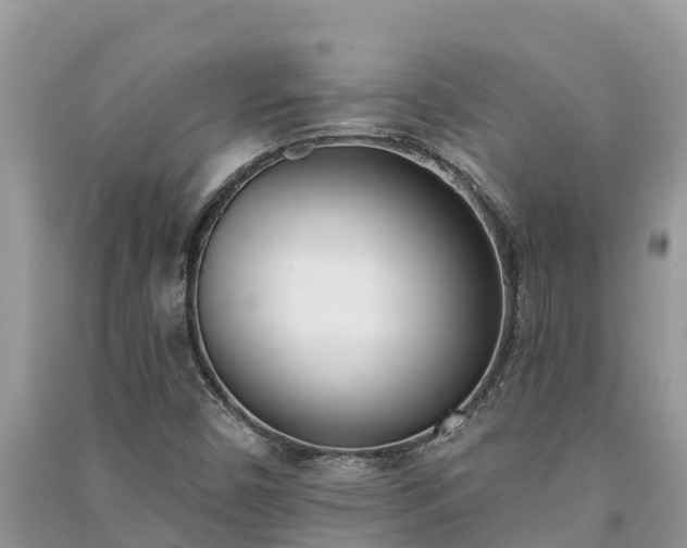 X0000091071450200708131142