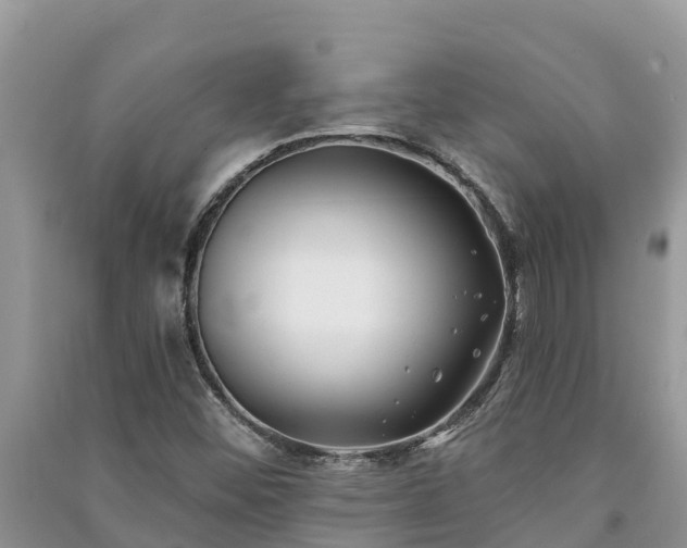 X0000091071452200708131142