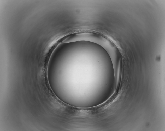 X0000091071453200708131142