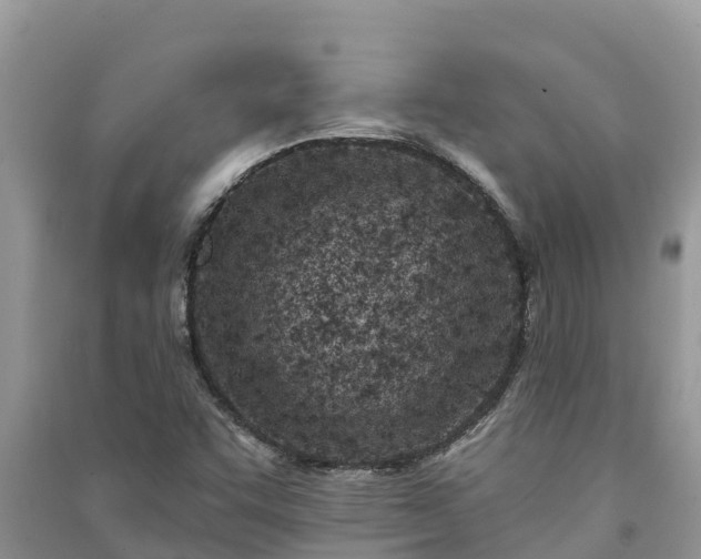 X0000091071455200708131142