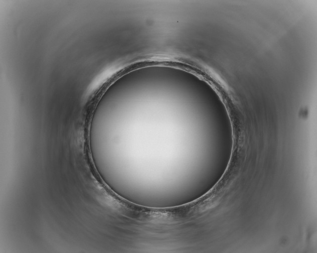 X0000091071456200708131142