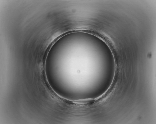 X0000091071457200708131142