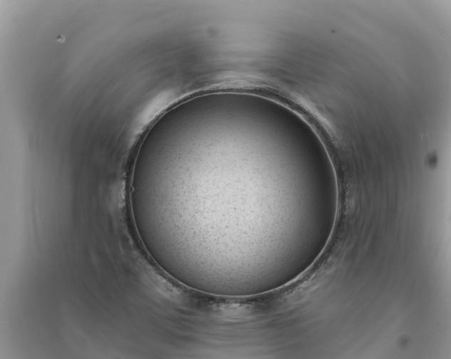 X0000091071459200708131142