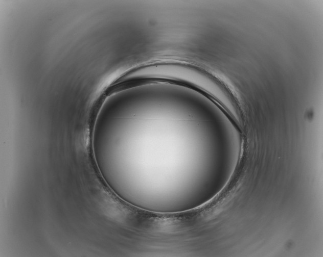 X0000091071461200708131142