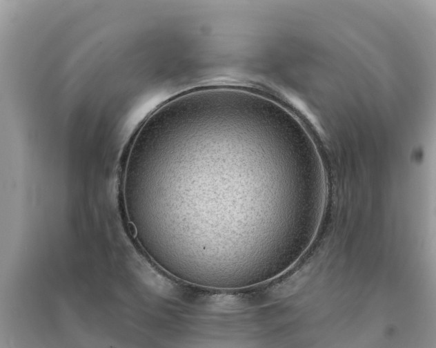 X0000091071463200708131142