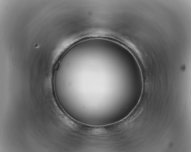 X0000091071464200708131142