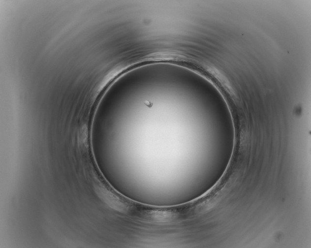 X0000091071465200708131142