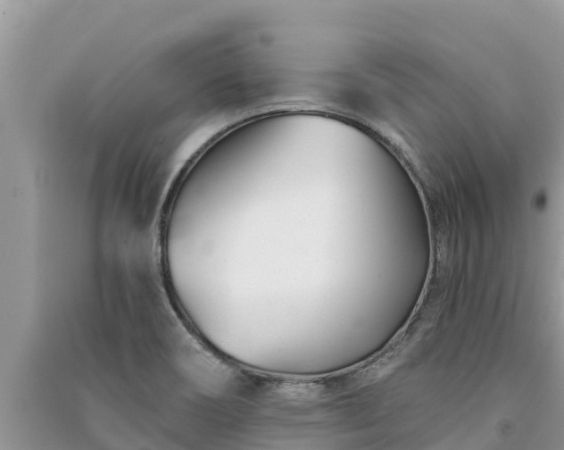 X0000091071466200708131142