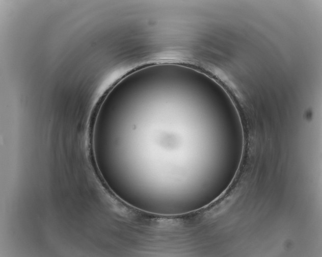 X0000091071469200708131142