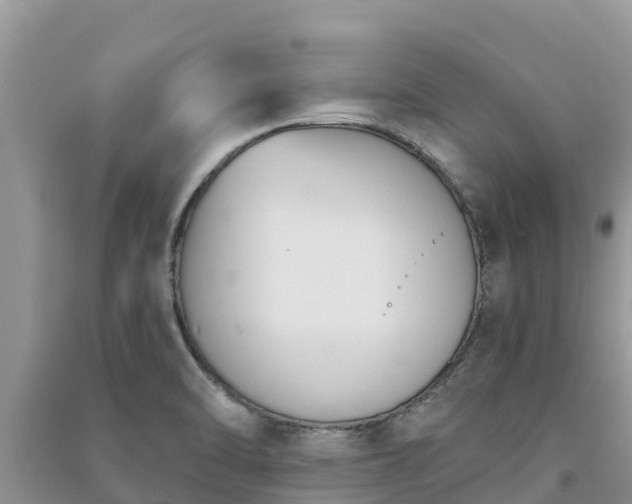 X0000091071470200708131142