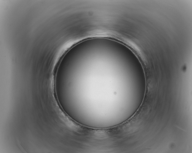 X0000091071472200708131142