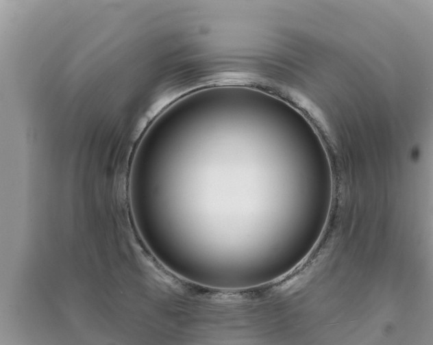 X0000091071473200708131142