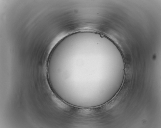 X0000091071474200708131142
