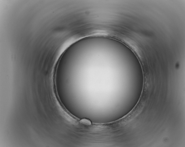 X0000091071475200708131142