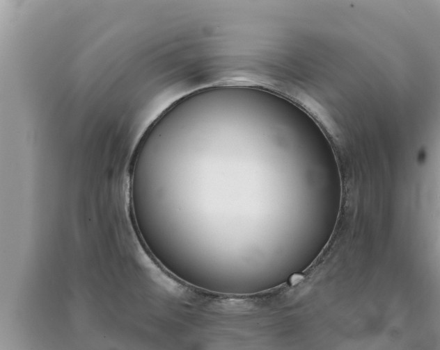 X0000091071476200708131142