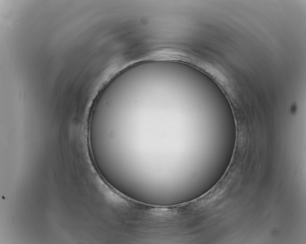 X0000091071478200708131142