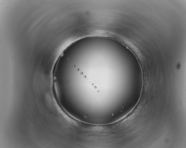 X0000091071479200708131142