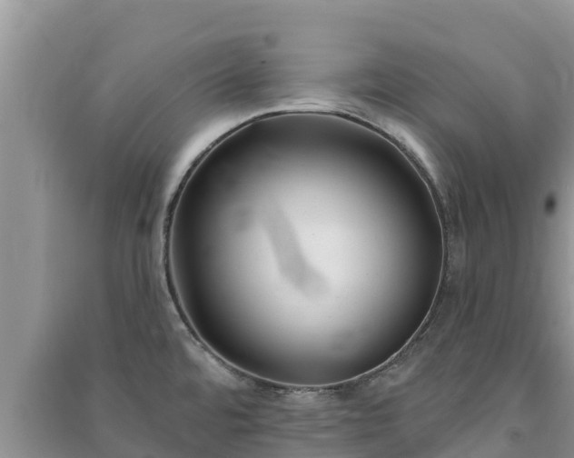 X0000091071480200708131142