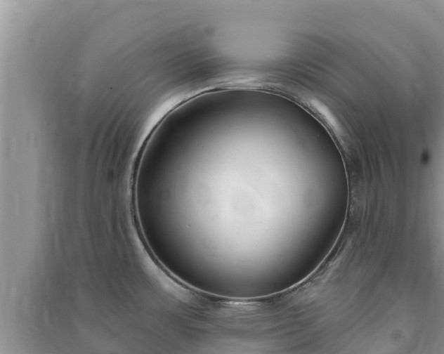 X0000091071483200708131142