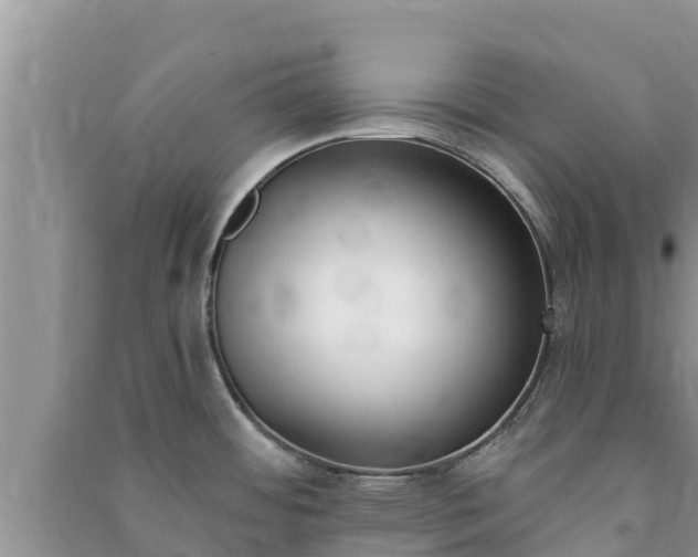 X0000091071484200708131141