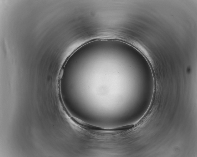 X0000091071485200708131141