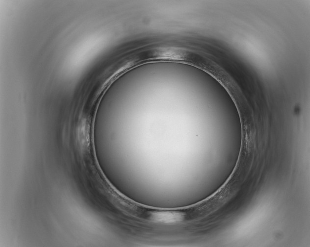 X0000091071487200708131141