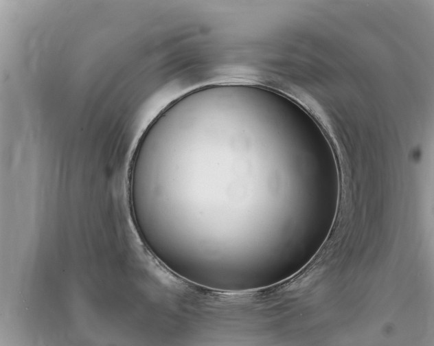 X0000091071488200708131141