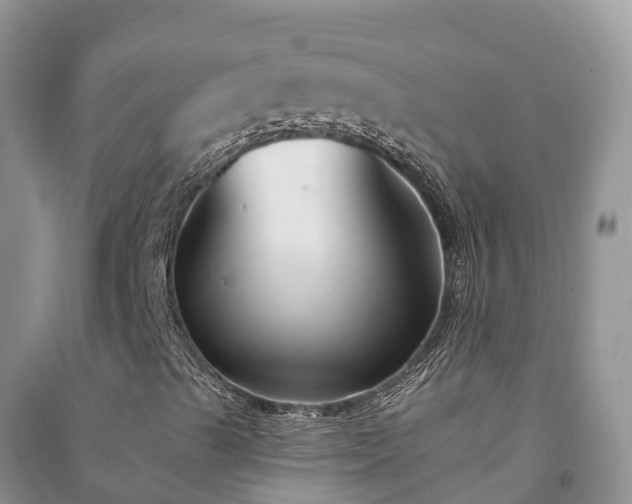 X0000091071489200708131141