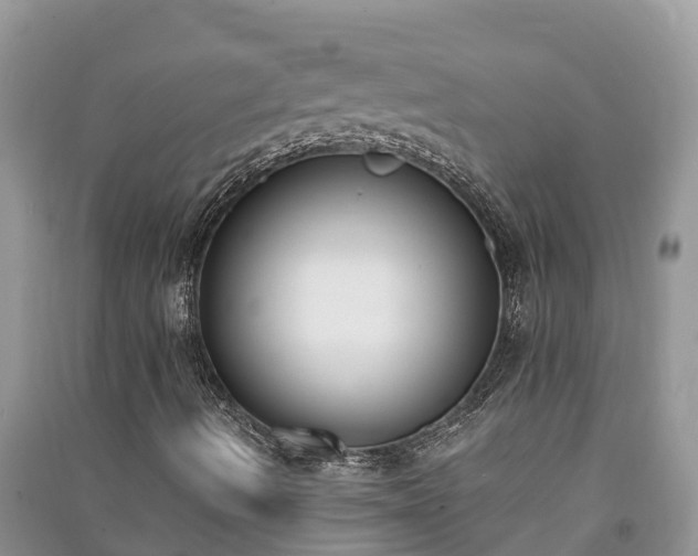 X0000091071490200708131141