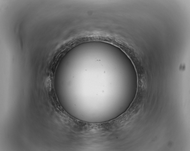 X0000091071493200708131141