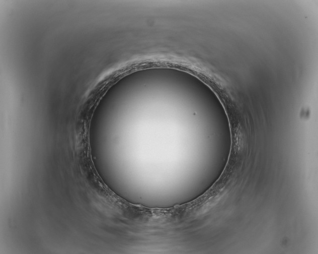 X0000091071494200708131141