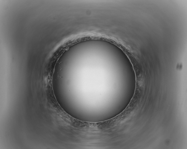 X0000091071495200708131141